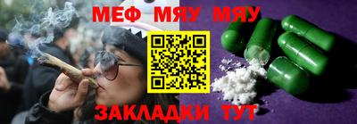 шишки Дубна