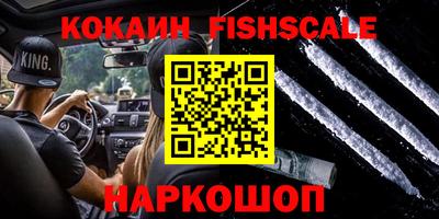 шишки Дубна