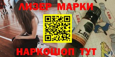 шишки Дубна