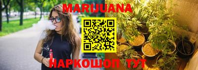шишки Дубна