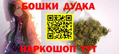 шишки Дубна