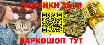 шишки Дубна