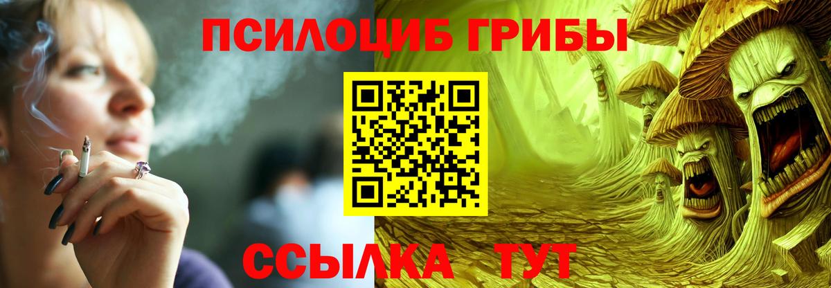 Луга  Галлюциногенные грибы Psilocybine cubensis  Вход с VPN 