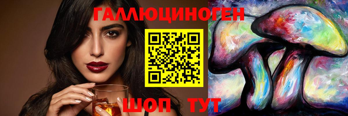 Псилоцибиновые грибы Psilocybine cubensis Луга